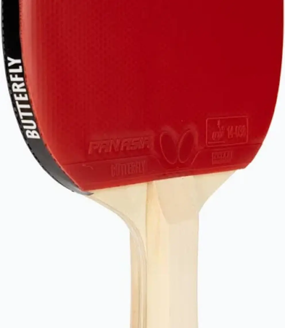 Butterfly Tımo Boll Raket Seti