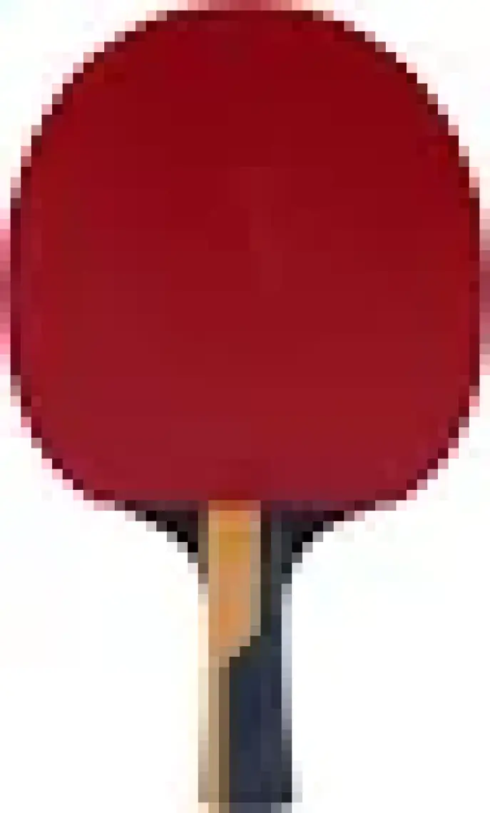 Butterfly Timo Boll Carbon Hazır Raket