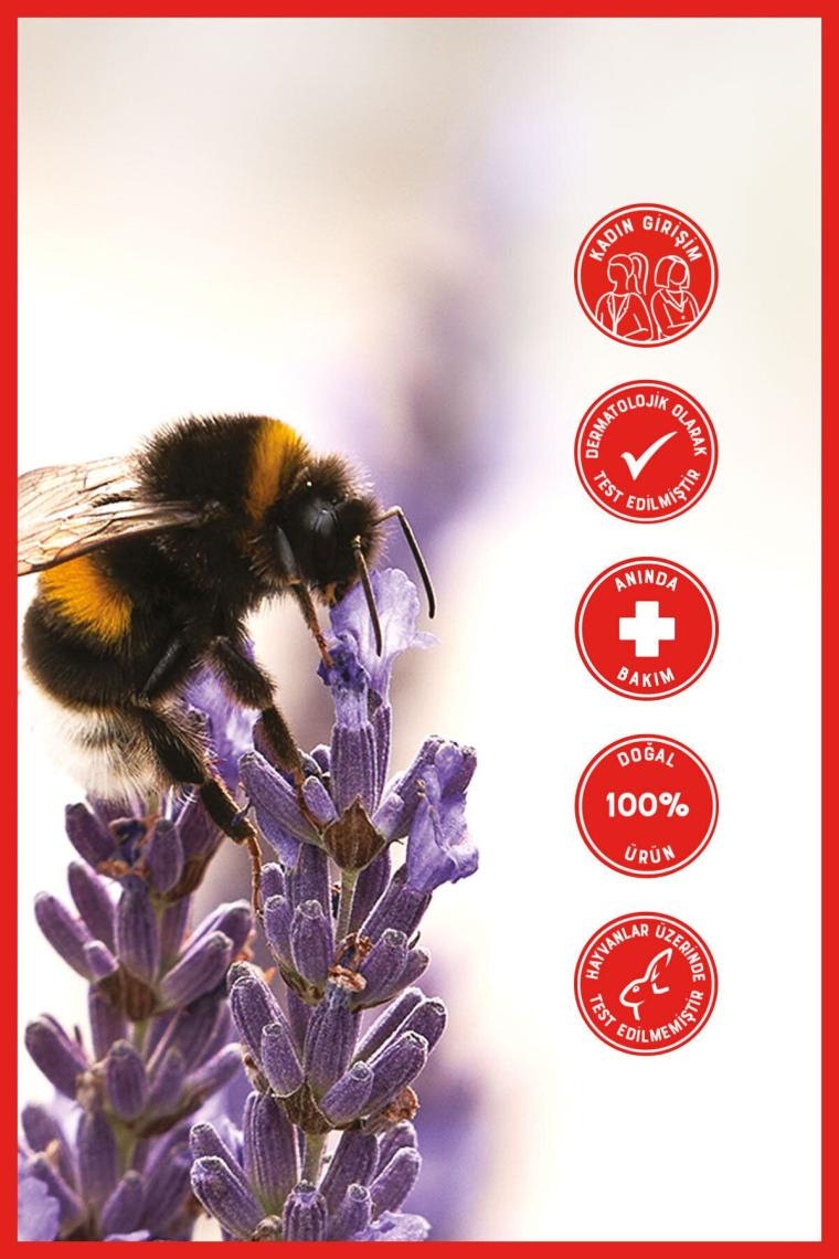 First Care Sos Stick 15 ml %100 Doğal Organik Yalancı Iğde Hızlı Koruma Anlık Yatıştırıcı Bakım Balm