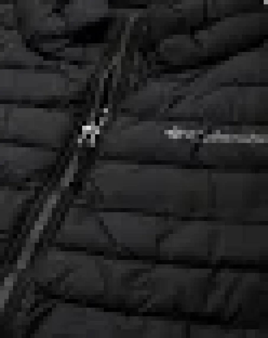 Columbia Powder Lite Vest  Erkek Yelek WO0847