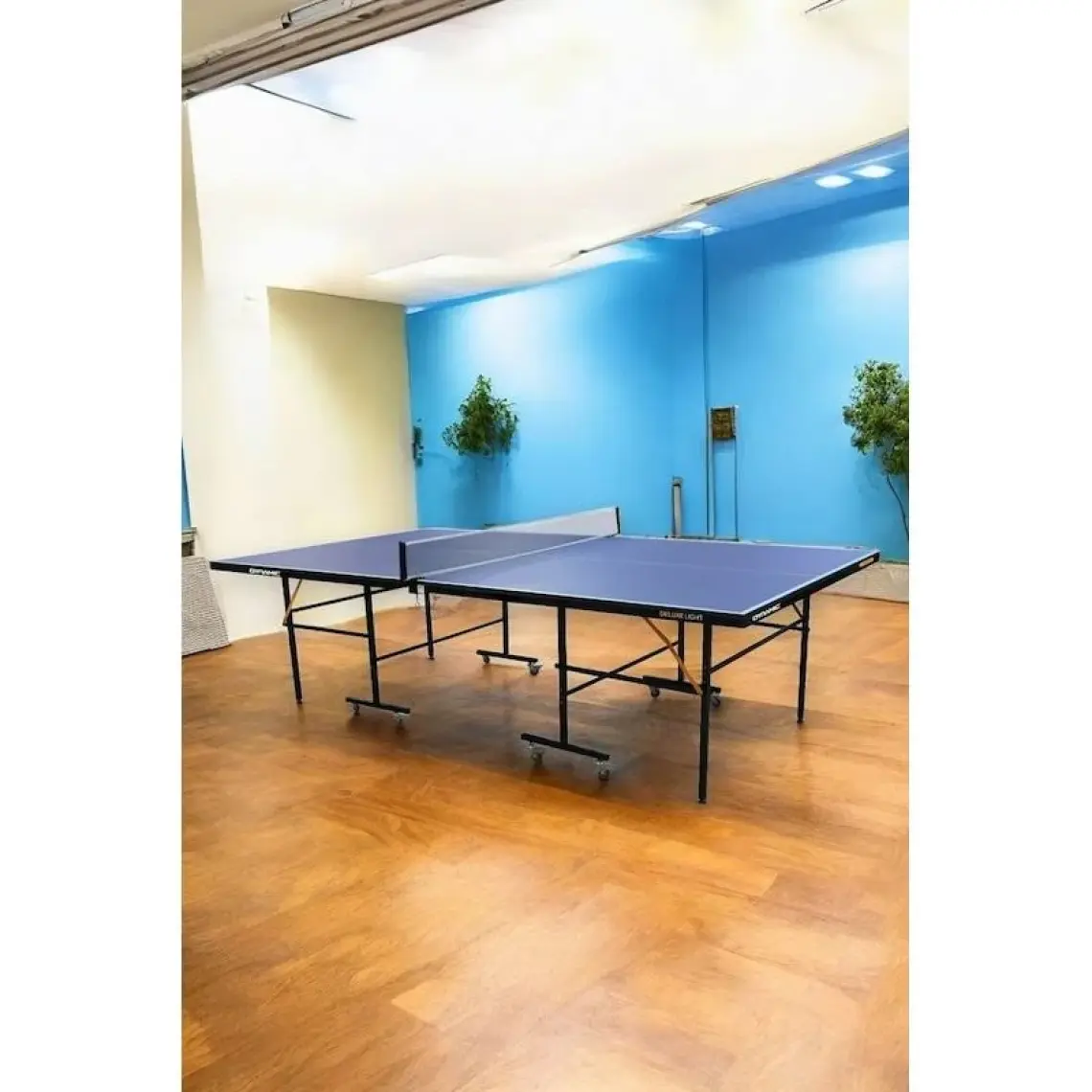 Dynamic Delux Lite Indoor Masa Tenisi Masası - 16MM - 2 Raket, 3 Top ve Ağdemir Hediyeli
