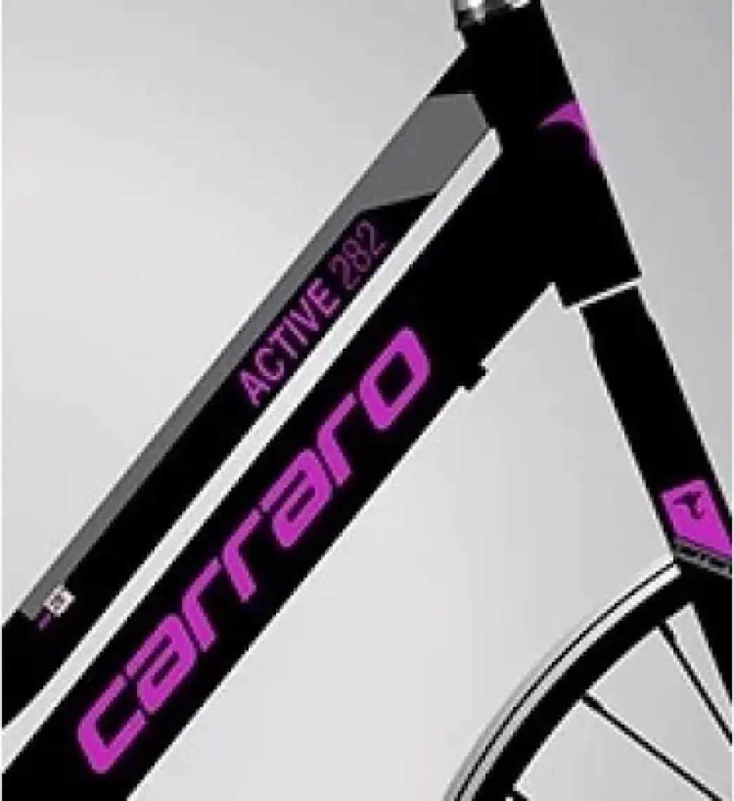 Carraro Active 282 - 46 cm ( Siyah , Mor )
