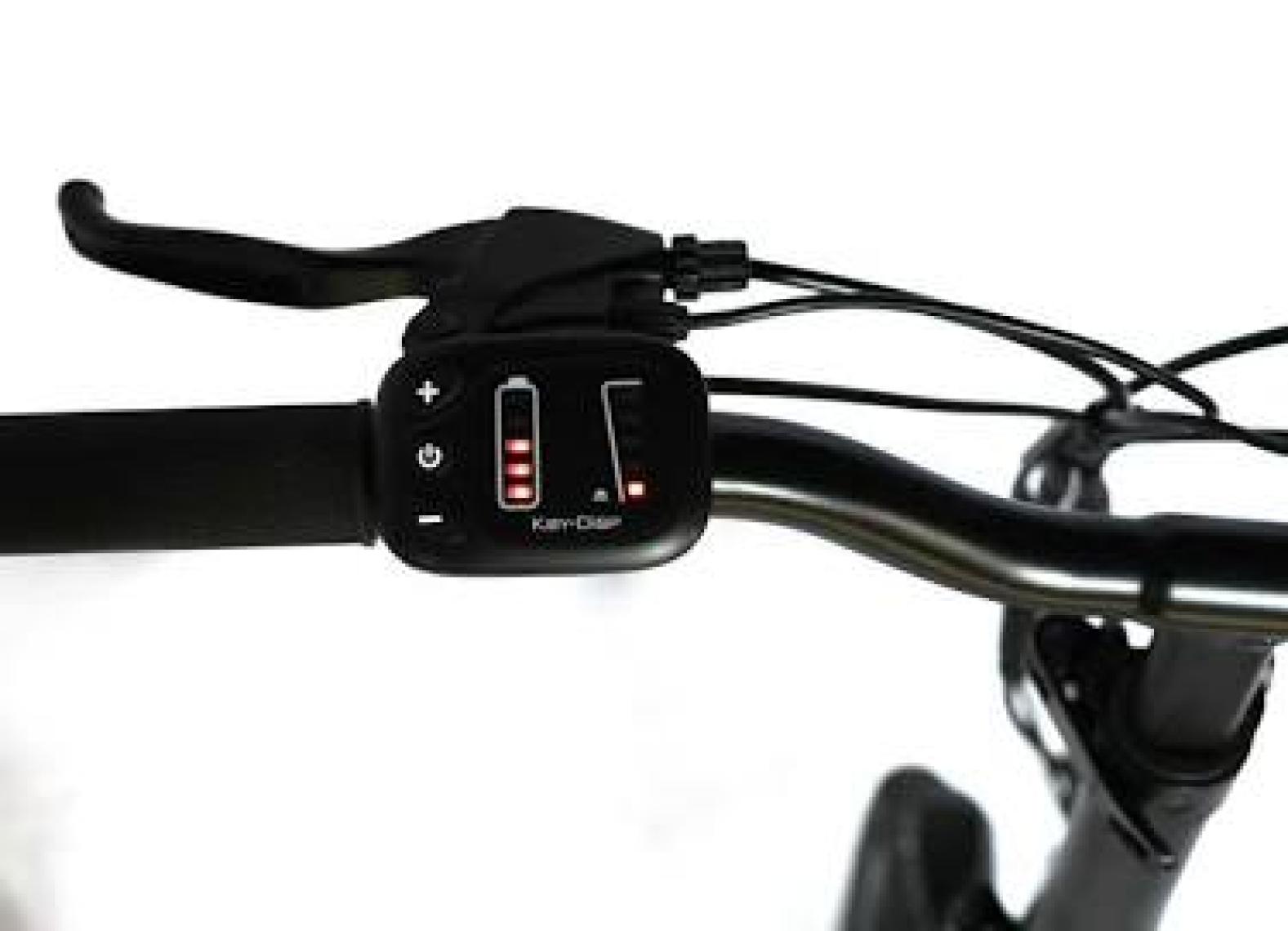 Roxform Venüs 20" Elektrikli Bisiklet - Şehir Içi Kullanım Için Ideal, Uzun Menzil E-Bike