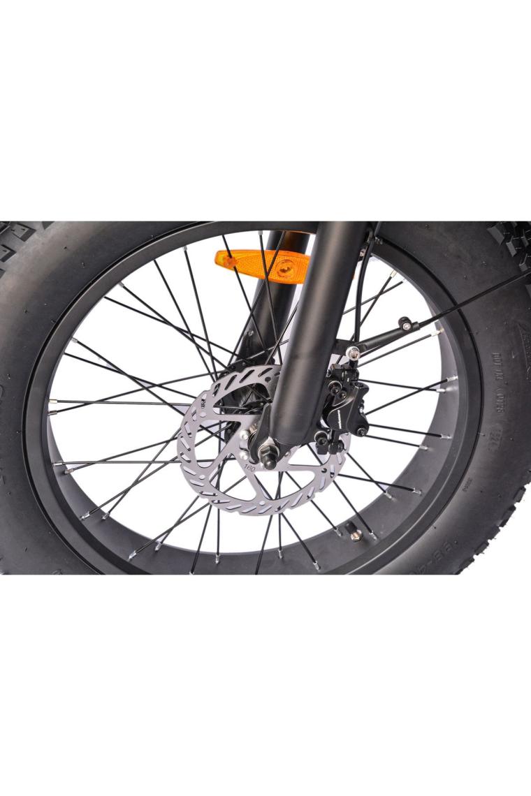 Roxform Ege Şehir Elektrikli Bisiklet - 250W Motor, 20 Inç Jant