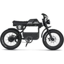 Ape Ryder Gibbon Elektrikli Bisiklet