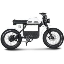 Ape Ryder Gibbon Elektrikli Bisiklet