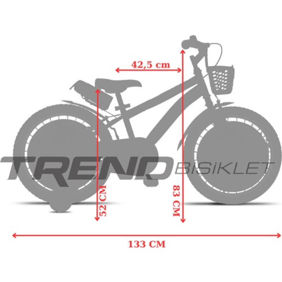 Trendbike Vento 20 Jant Bisiklet 6-9 Yaş Erkek Çocuk Bisikleti