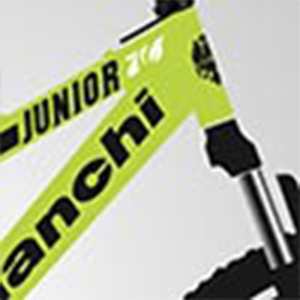 Bianchi Junıor 24 Jant  370H 21-V Vb Sarı-Siyah-Gri