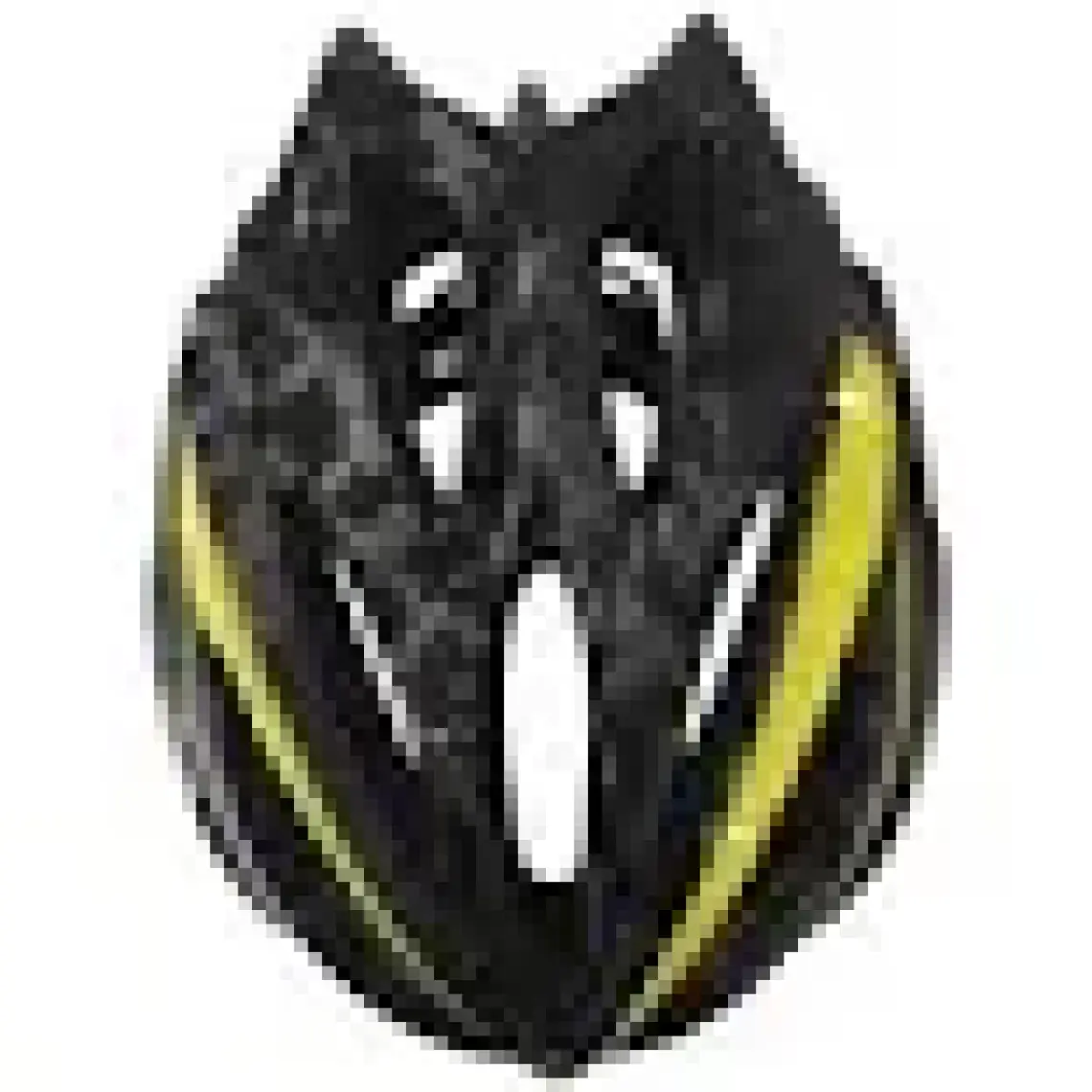 Zozo raptor Kask HB31-A