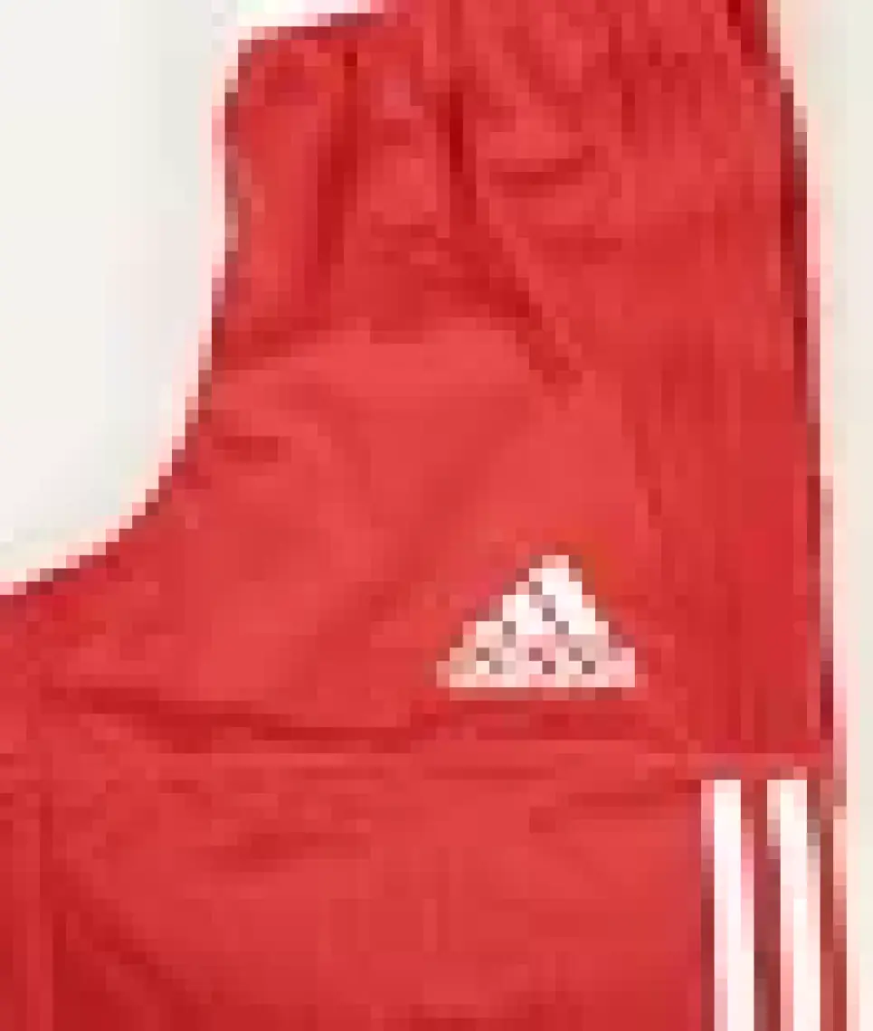 adidas 3G Spee Rev Shr Çocuk Basketbol Şort DY6627