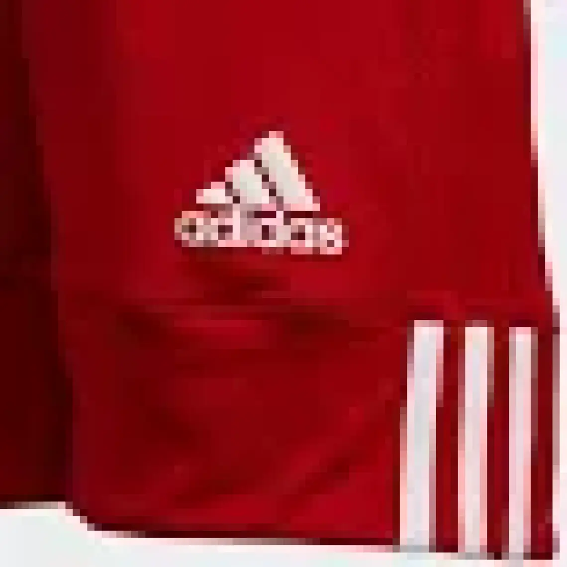 adidas 3G Spee Rev Shr Çocuk Basketbol Şort DY6627