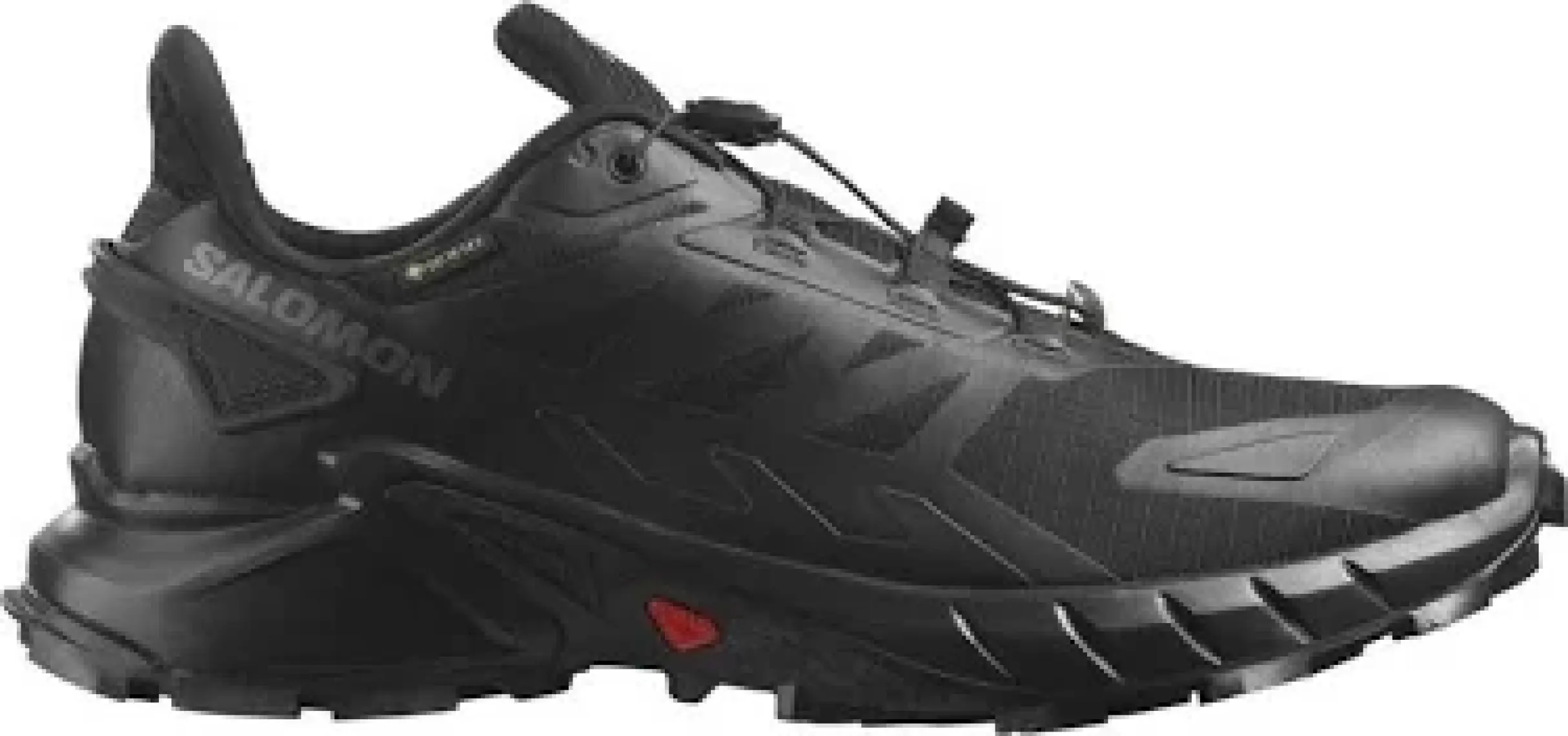 Salomon SUPERCROSS 4 GORE-TEX Erkek Koşu Ayakkabısı Black L41731600