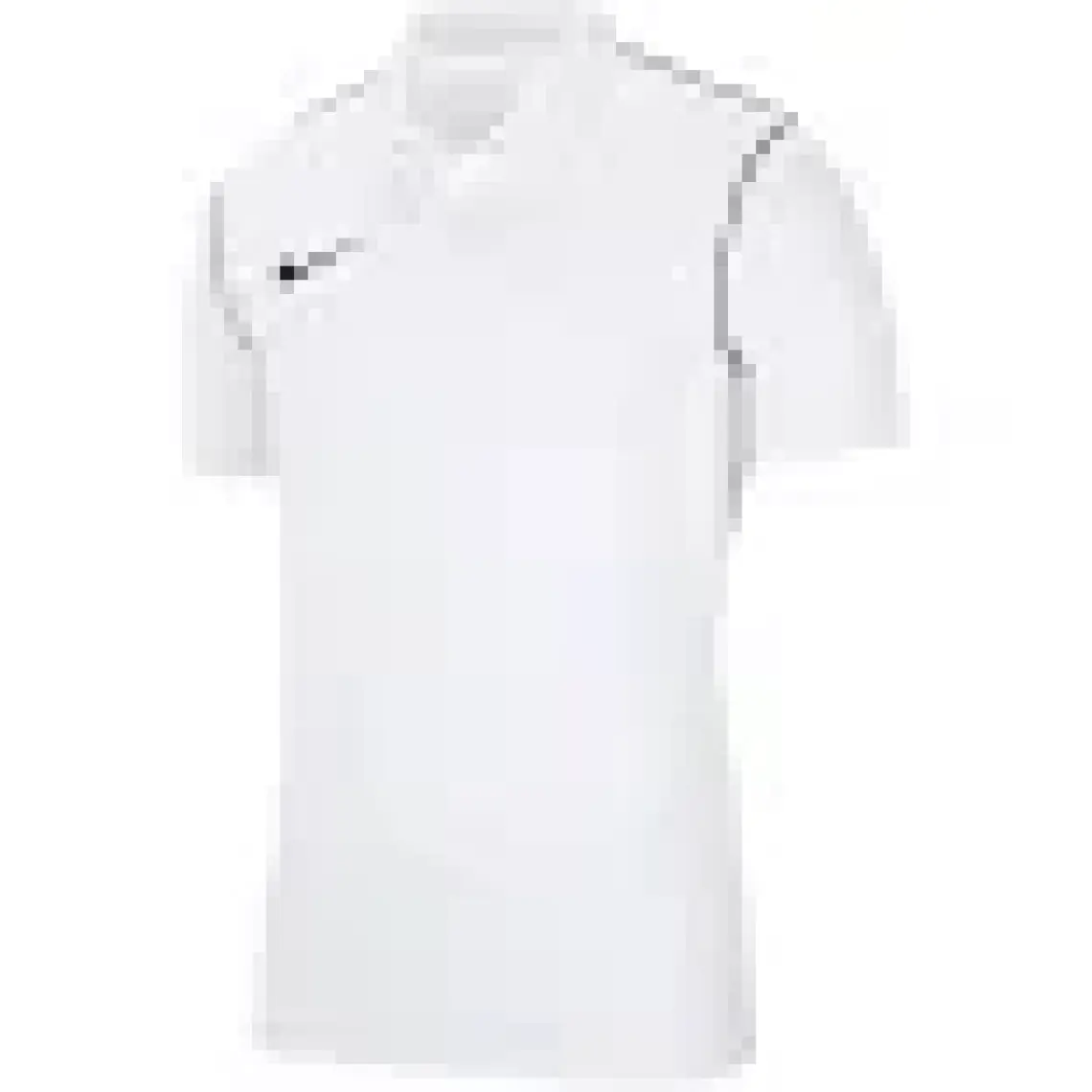 Nike M DRY PARK20 POLO Erkek Polo Tişört BV6879-719
