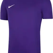 Nike Dry Park Vıı Jsy Ss Erkek Forma BV6708-547