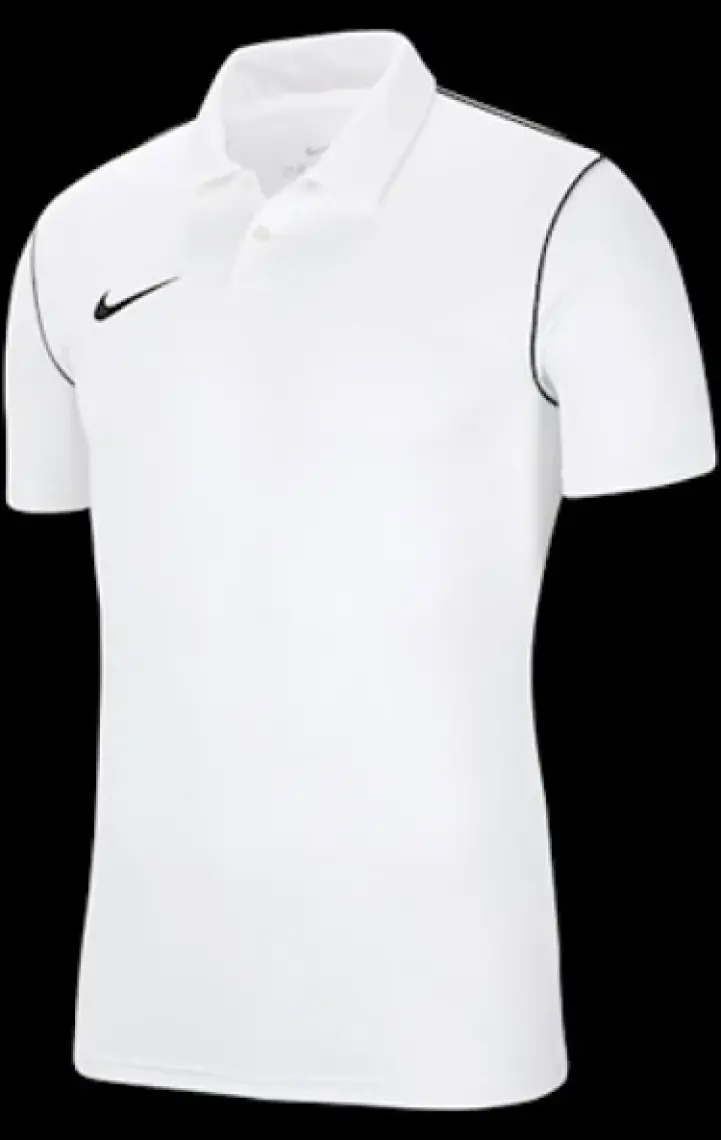 Nike M DRY PARK20 POLO Erkek Polo Tişört BV6879-719