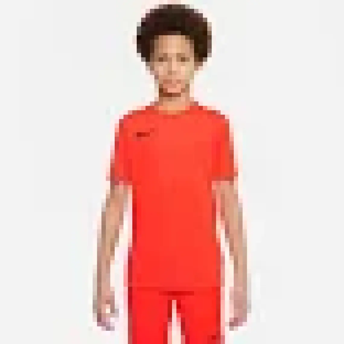 Nike Dry Park Vıı Jsy Ss Erkek Forma BV6708-547