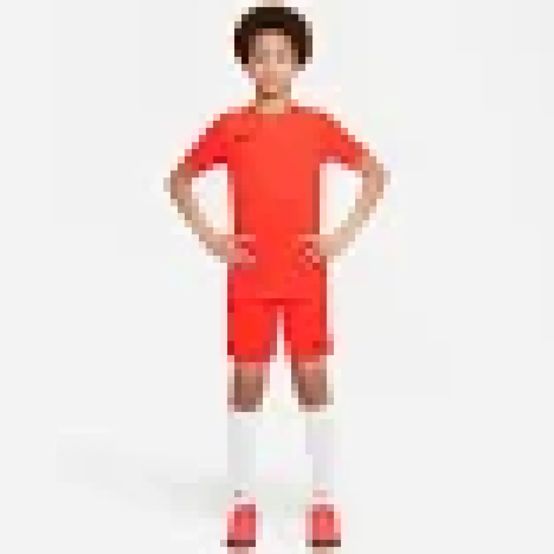 Nike Dry Park Vıı Jsy Ss Erkek Forma BV6708-547