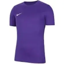 Nike Dry Park Vıı Jsy Ss Erkek Forma BV6708-547