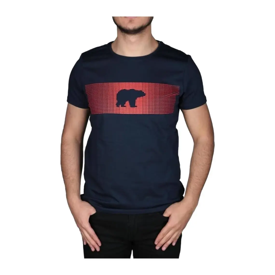 Bad Bear Erkek Baskılı Tişört