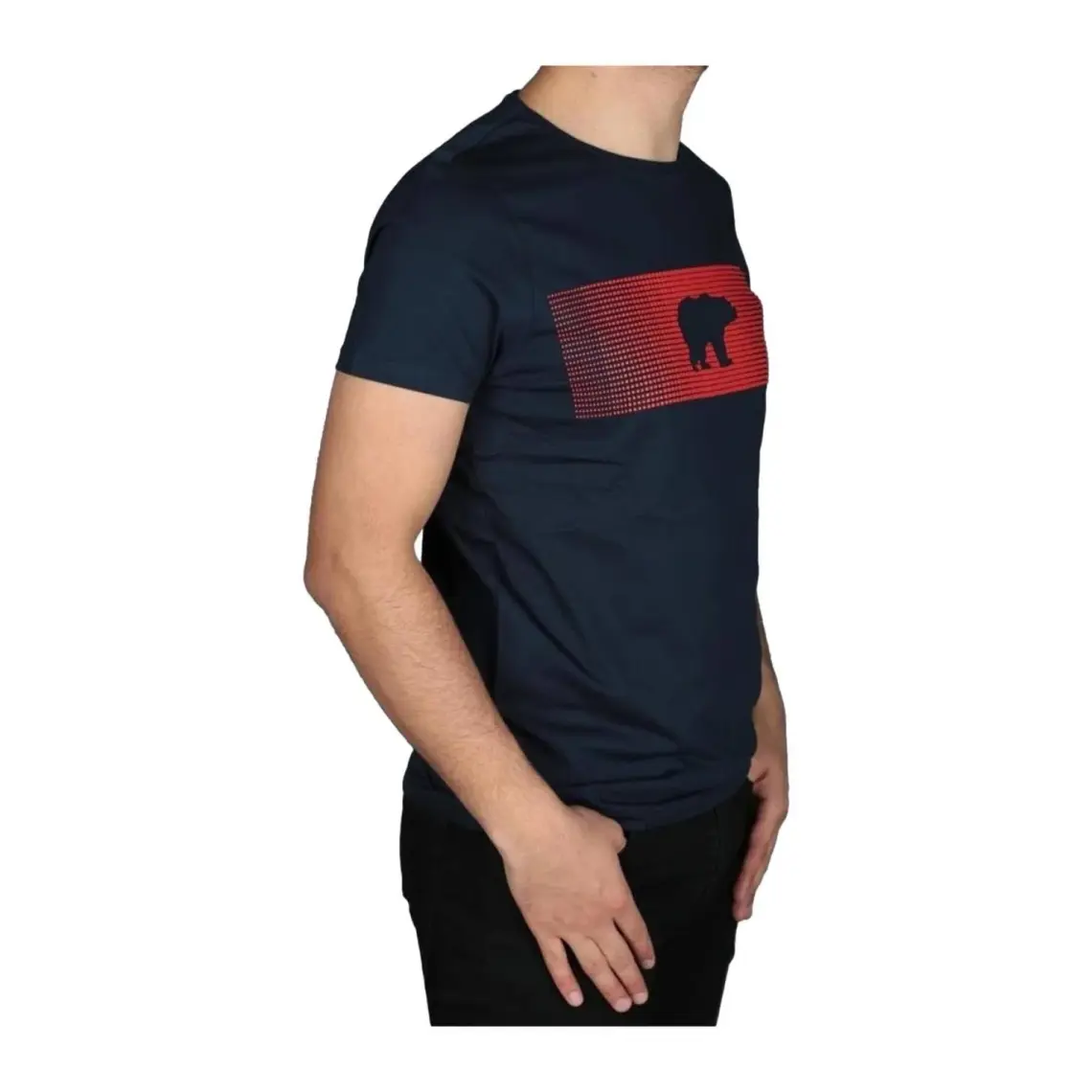 Bad Bear Erkek Baskılı Tişört