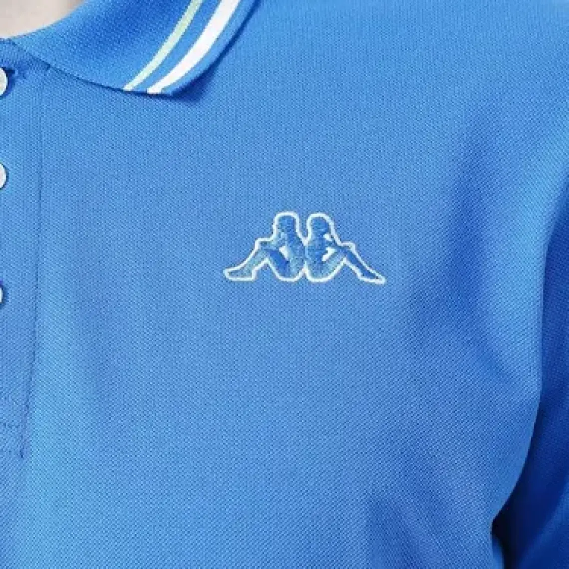 Logo Maltax 5 Mss Erkek Mavi-Beyaz-Fıstık Yeşili Regular Fit Polo Yaka Tişört