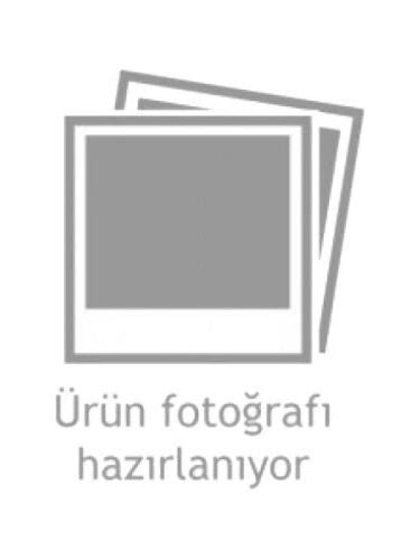 Irak Plastik Rich Multi Surface Marjinal Gri 120 cc