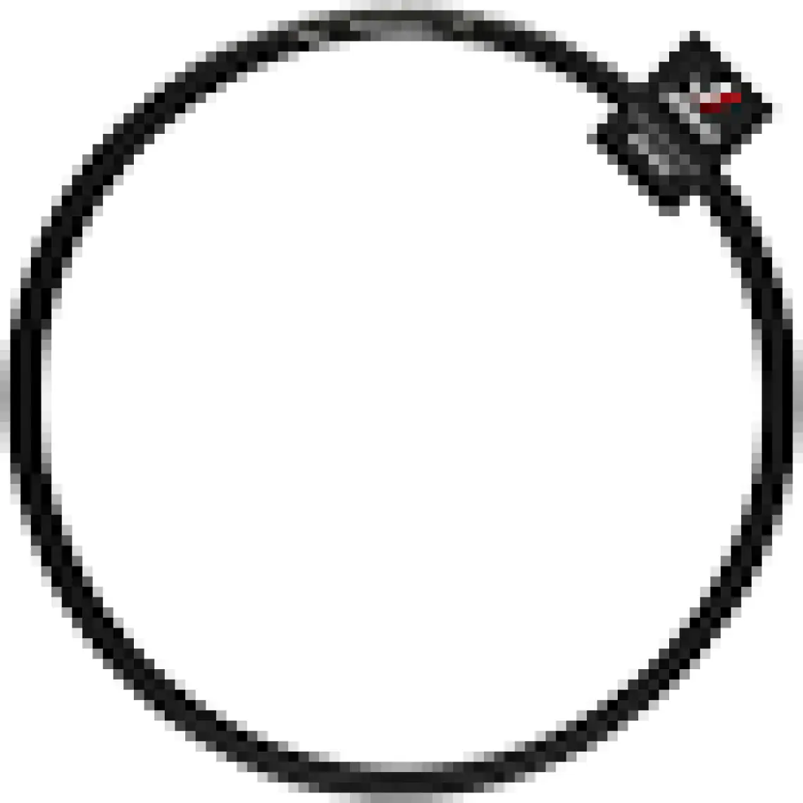 Vittoria Randonneur 700x35C Dış Lastik