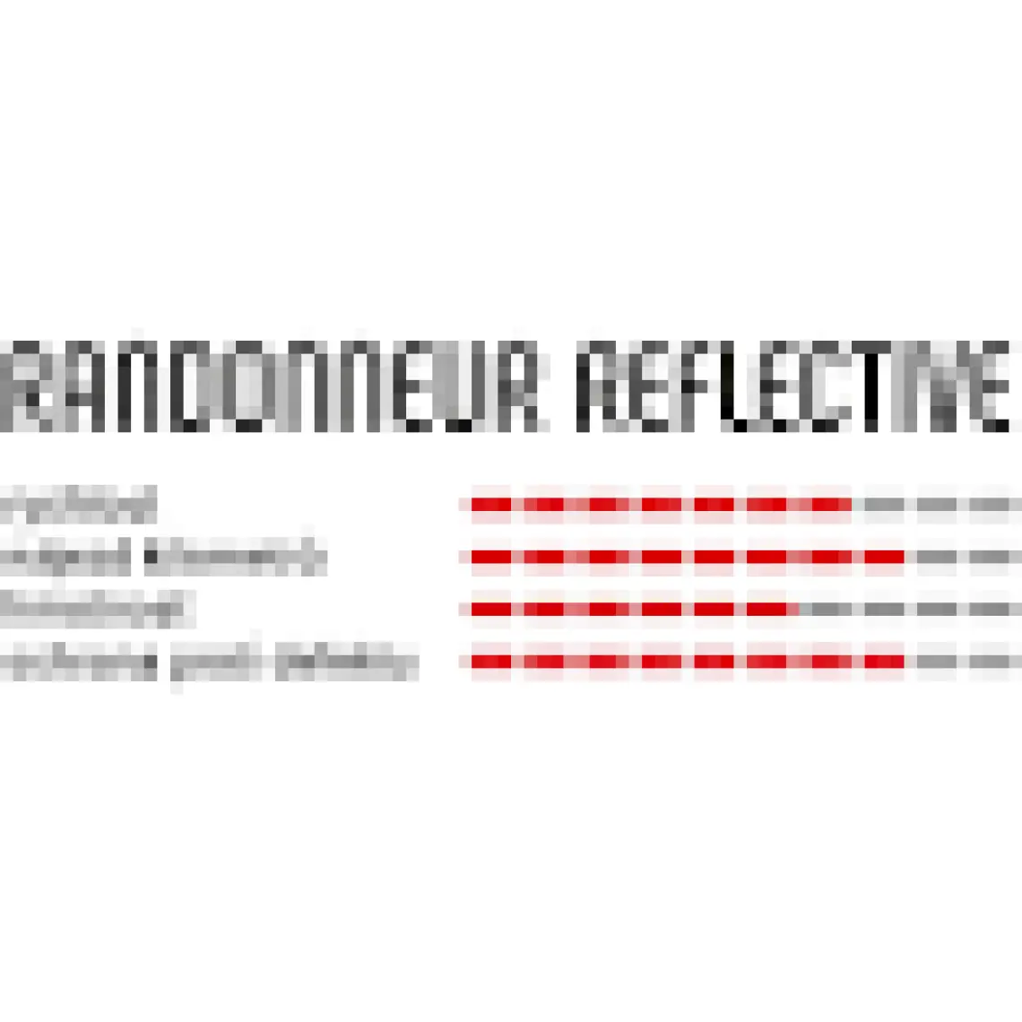 Vittoria Randonneur 700x35C Dış Lastik