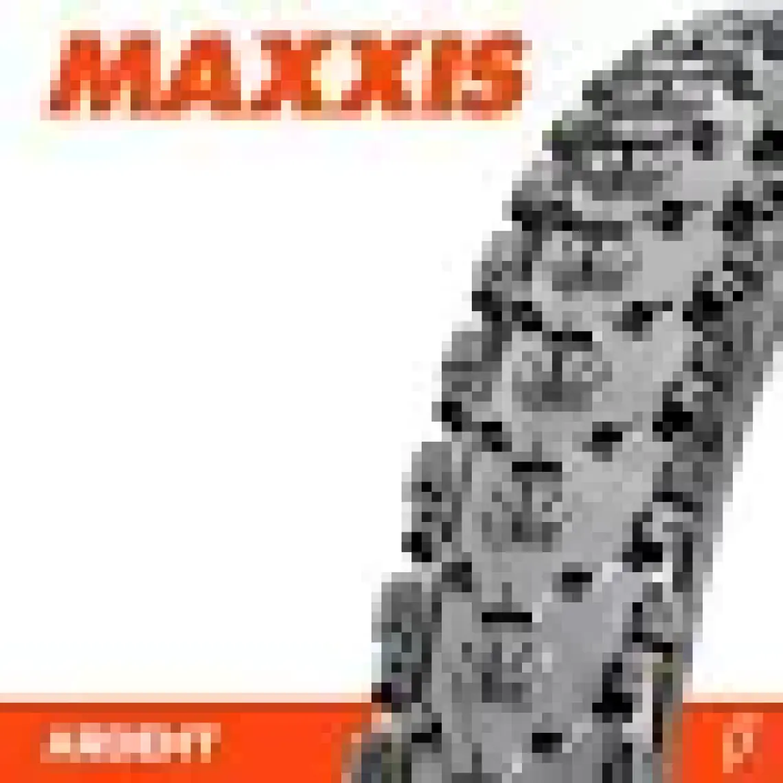 Maxxıs Ardent 29X2.40 Telli Dış Lastik