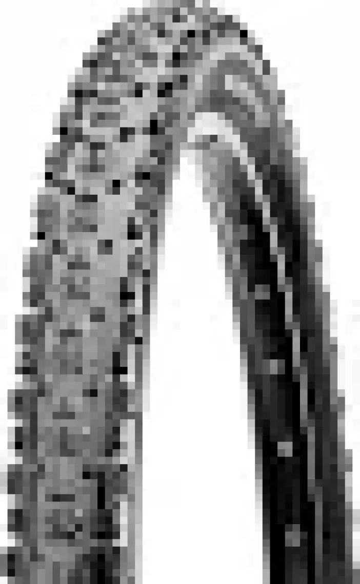 Maxxıs Ardent 29X2.40 Telli Dış Lastik