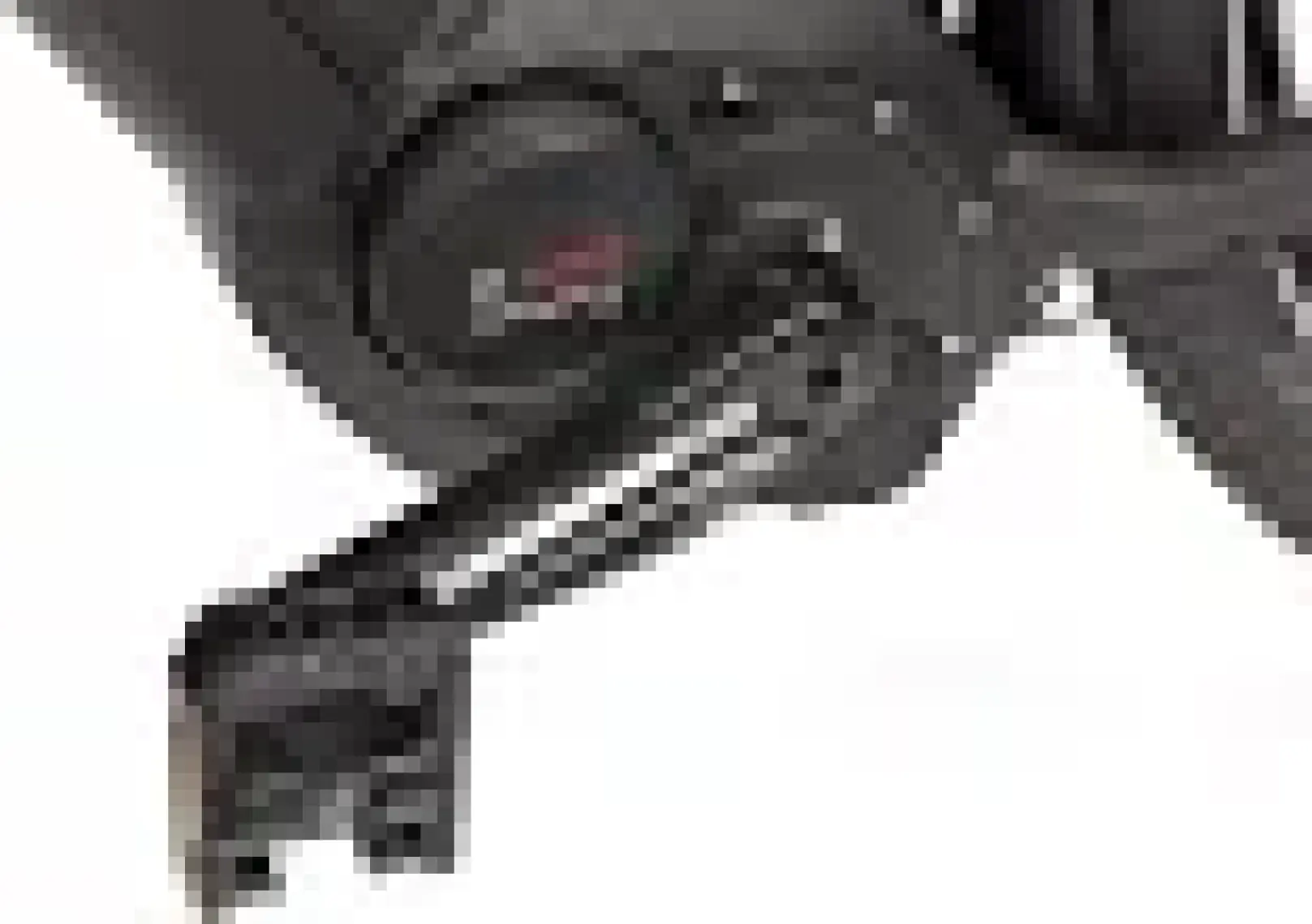 Xlc Folding Pedal PD-F01 Siyah Katlanır