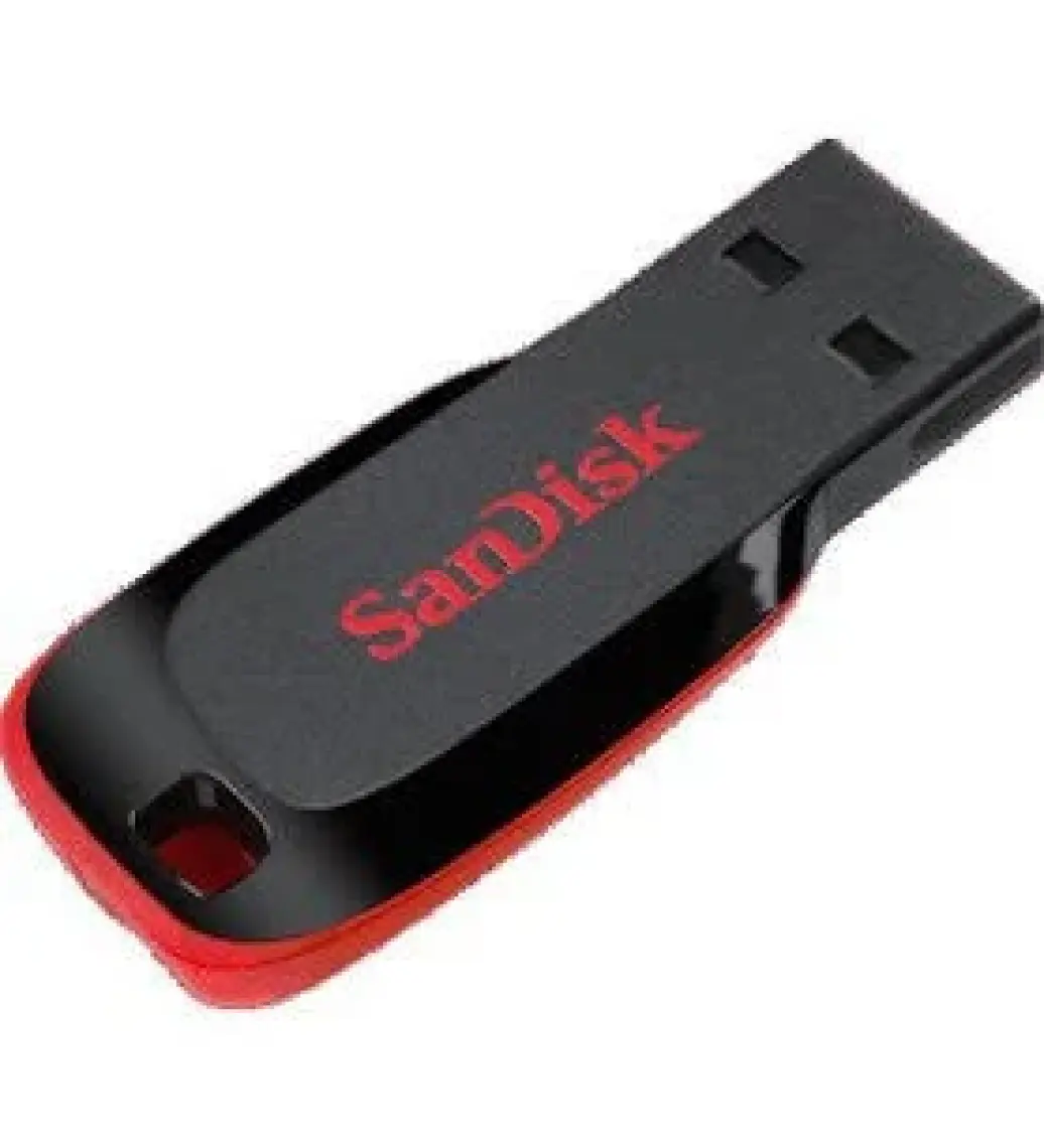Sandisk Cruzer Blade 32 GB Flash Disk