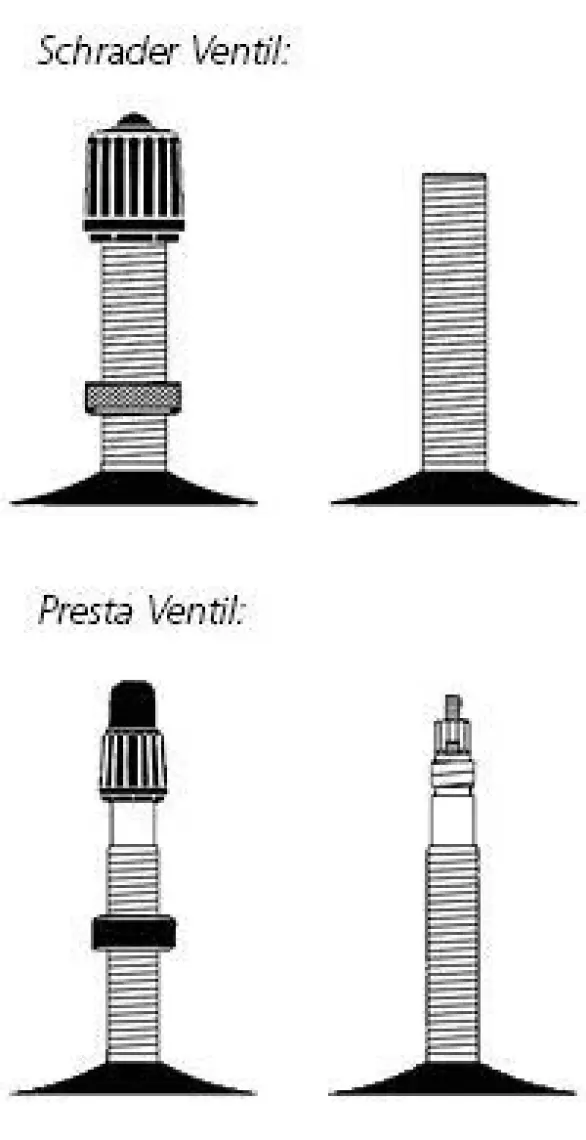 Schwalbe 29/28/27.5" Sv19 40Mm İç Lastik