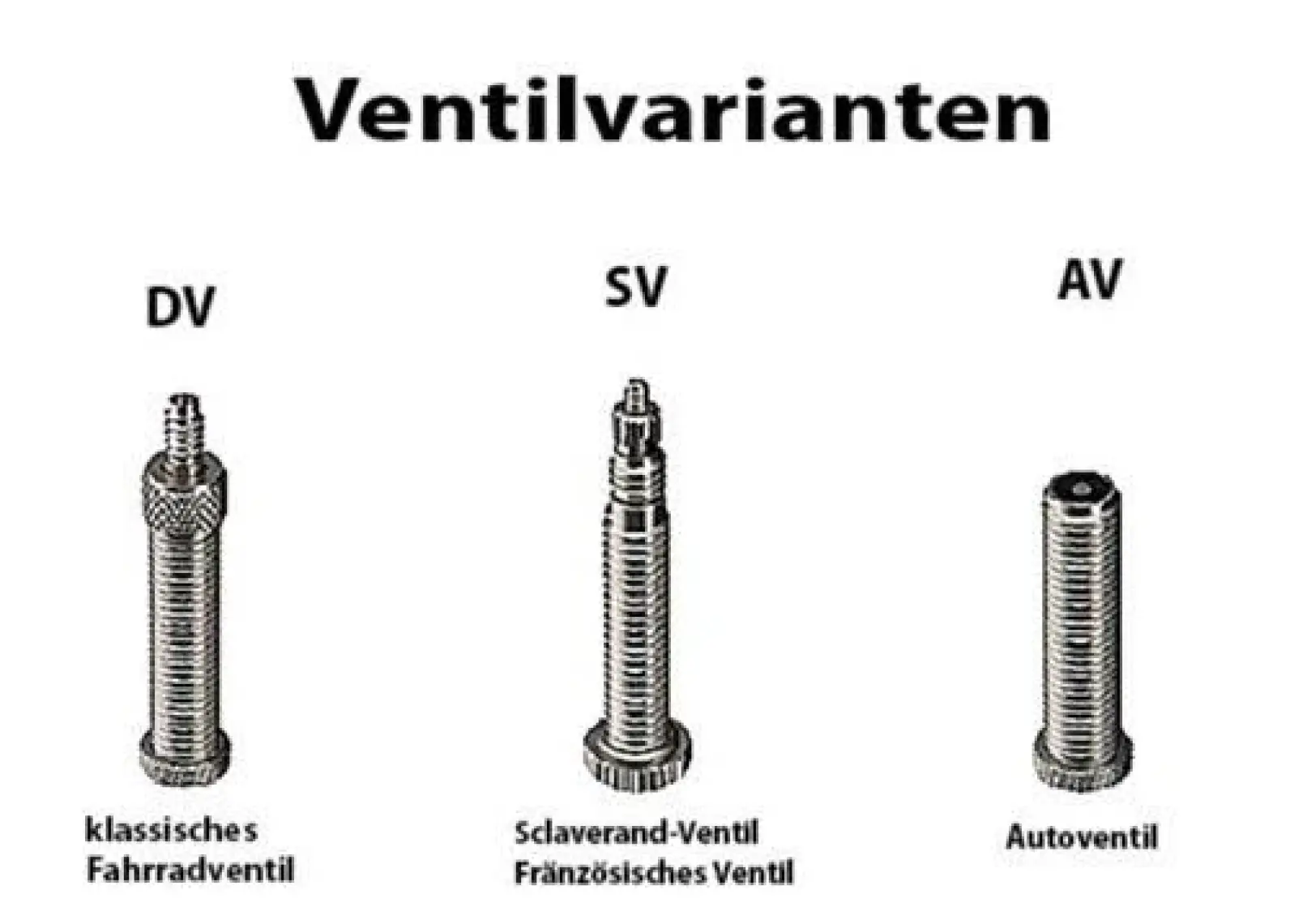 Schwalbe 29/28/27.5" Sv19 40Mm İç Lastik