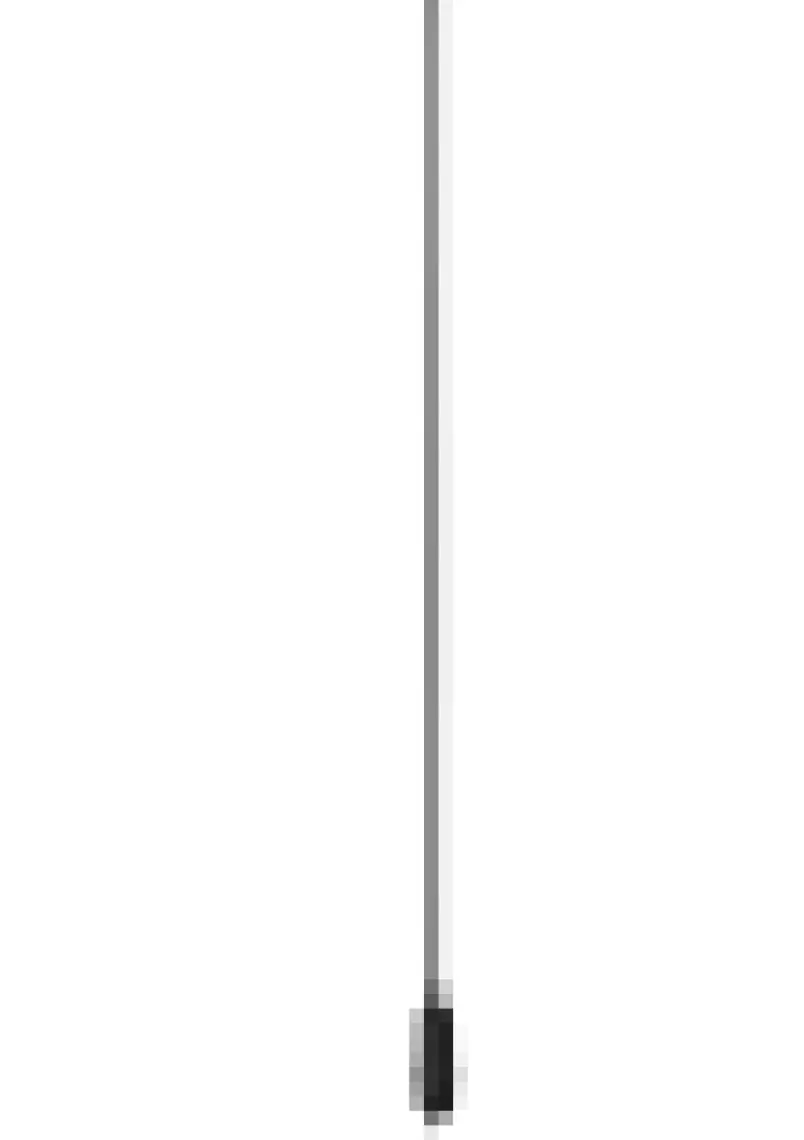 Bestway Çakmaklıklı Pompa 62144