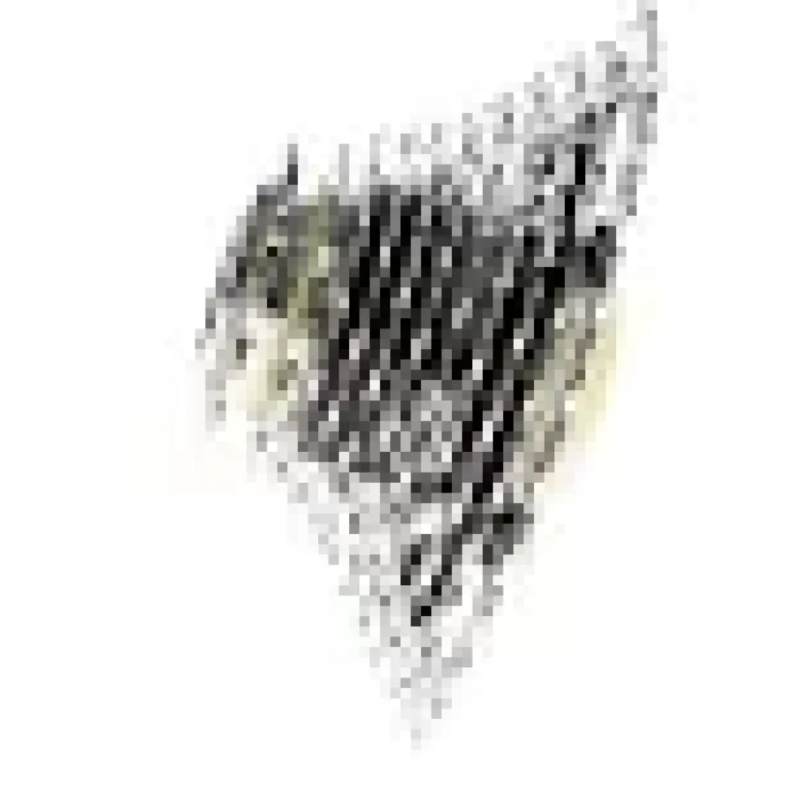SHIMANO 105 CS-R7000 11 Speed 11-28 Ruble