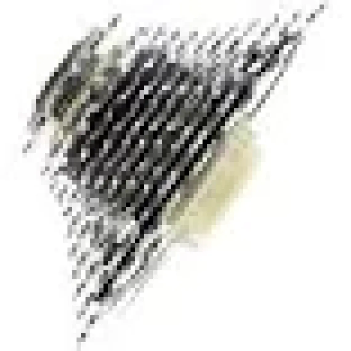 SHIMANO 105 CS-R7000 11 Speed 11-28 Ruble
