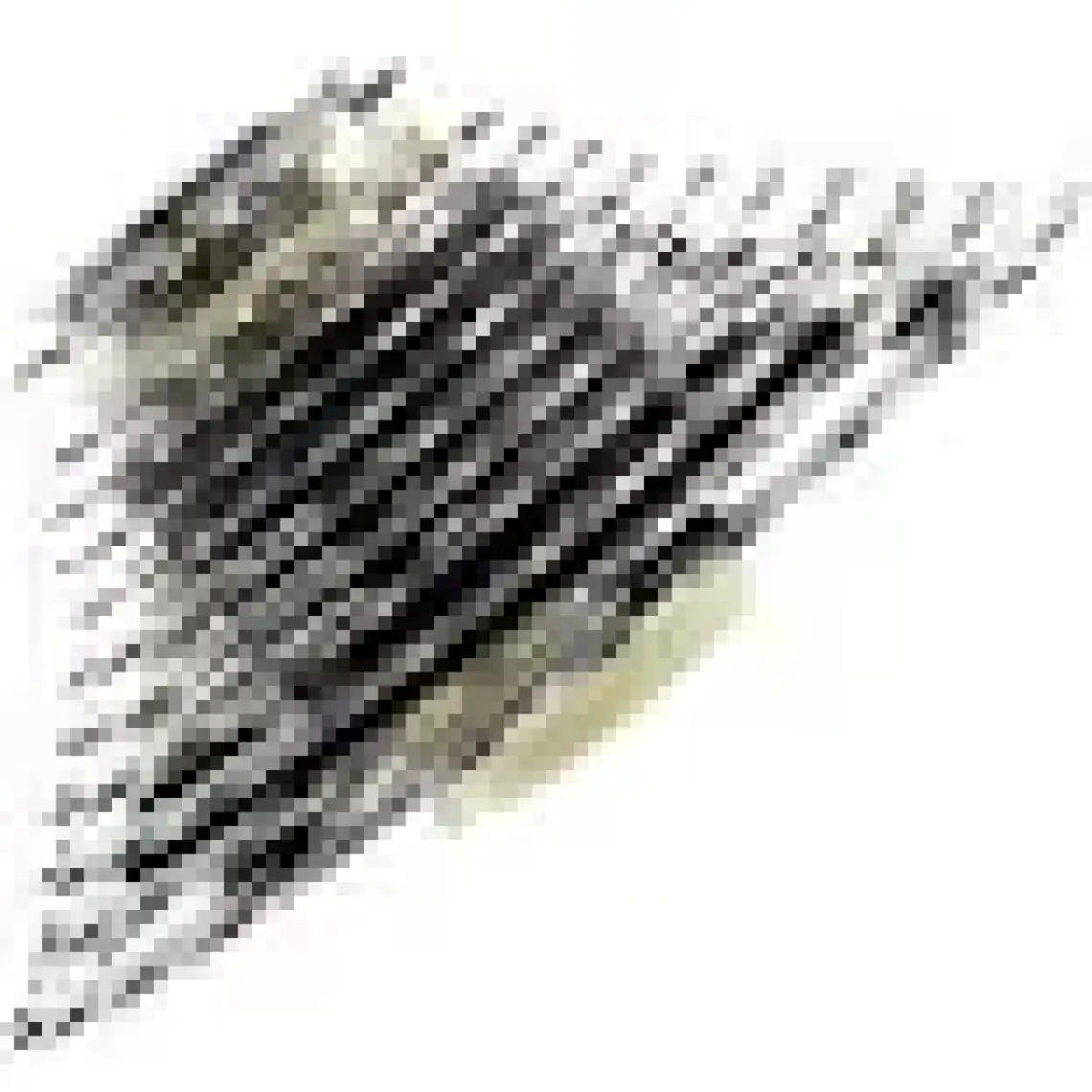 SHIMANO 105 CS-R7000 11 Speed 11-28 Ruble