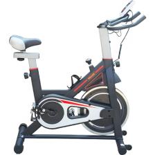 Walke Healife Spinning Kondisyon Bisikleti Spin Bike Direnç Ayarlanabilir Nabız Ölçer 8 Kg Disk