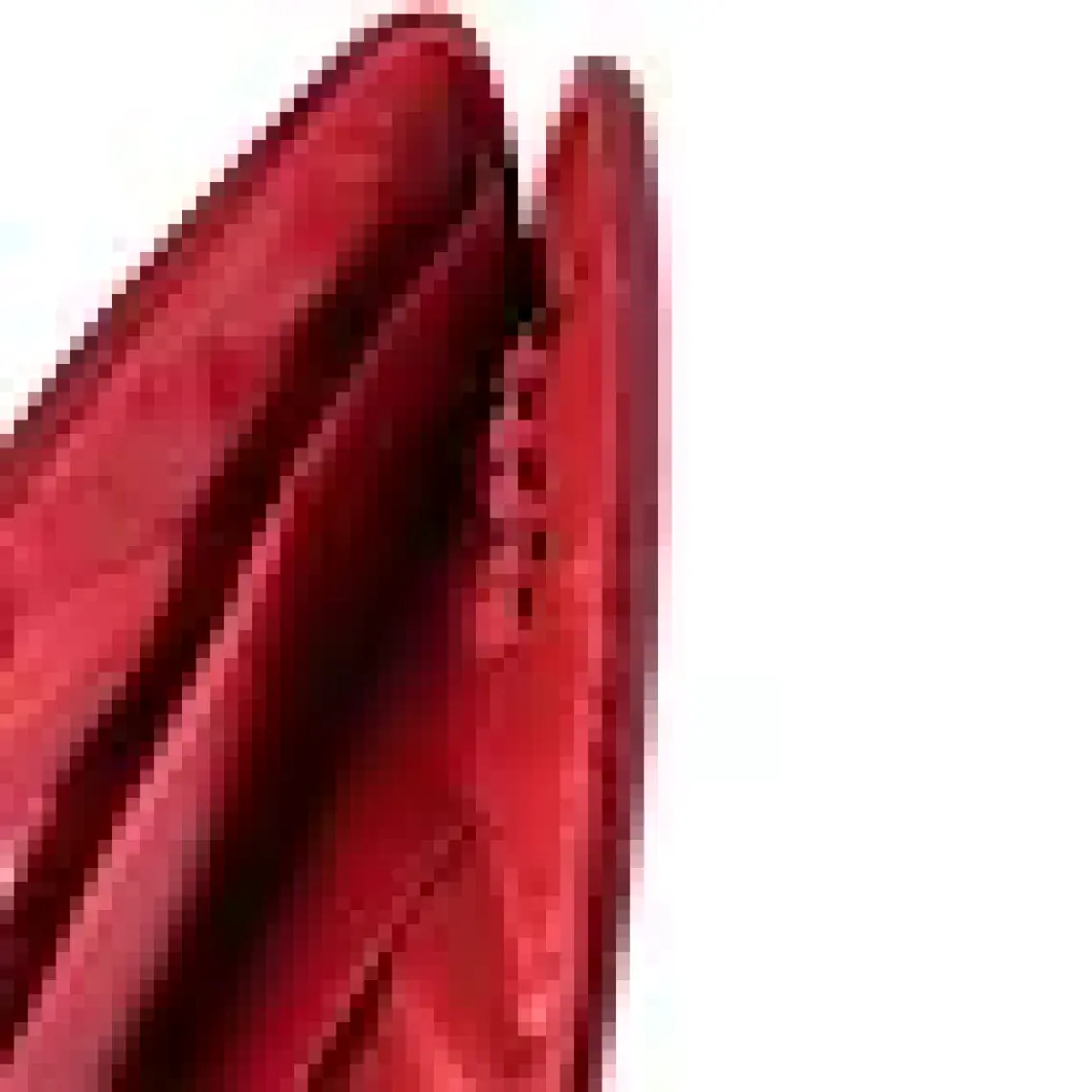 U.S. Polo Assn. PLEVR22482 Bordo Unısex Tablet Çantası