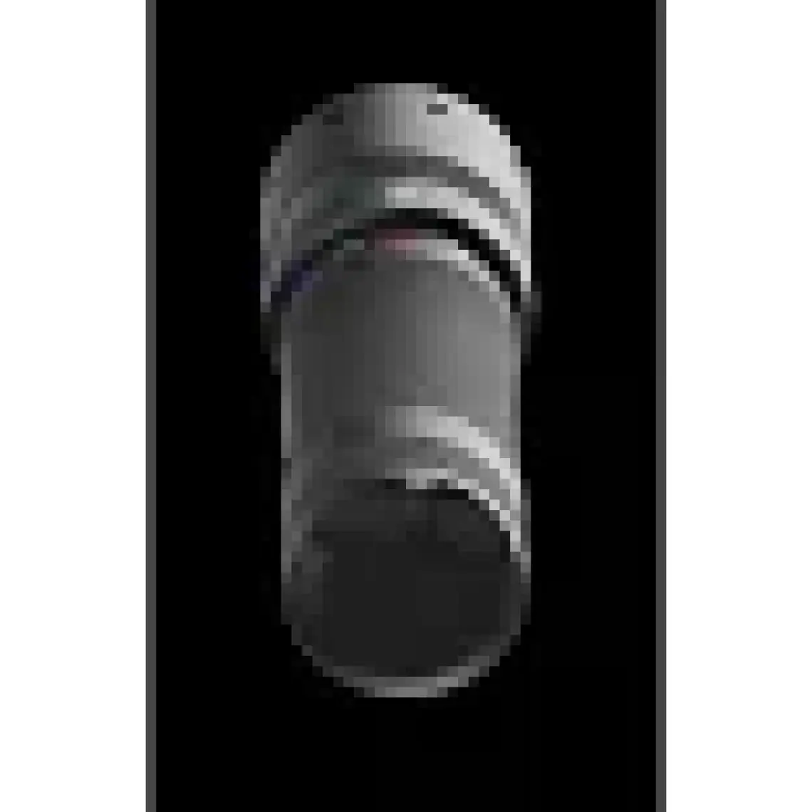 Led Lenser T2QC El Feneri