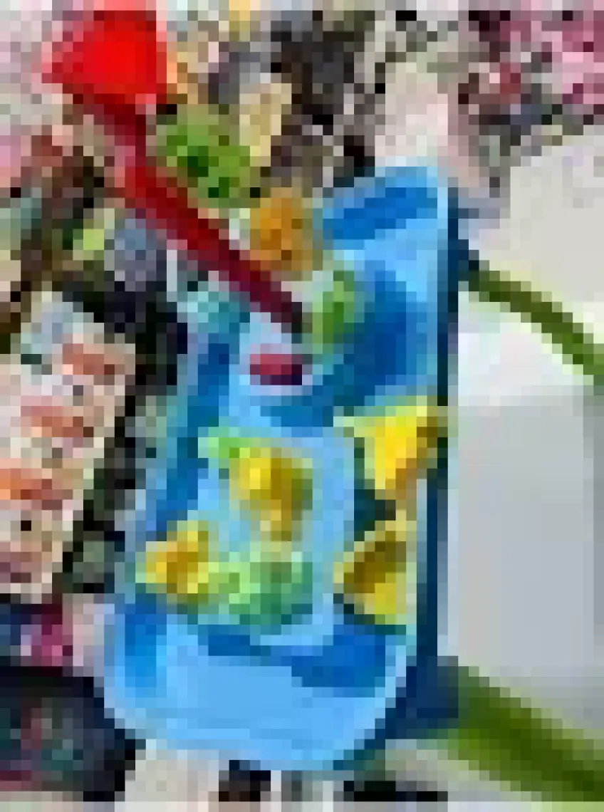 Mgs Kum ve Su Havuzu Mgs