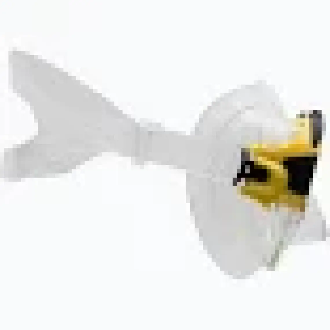 Cressi Matrix Maske Gamma Şnorkel Seti Clear-Yellow