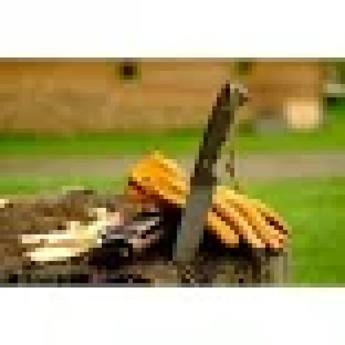 Remus Sanches Dana Deris Bushcraft Outdoor Spor, Kamp, Aktivite Eldiveni L&XL Beden No;10