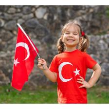 Güneş Avm Sopalı Türk Bayrağı 20X30 cm Alpaka Kumaş - 10 Adet