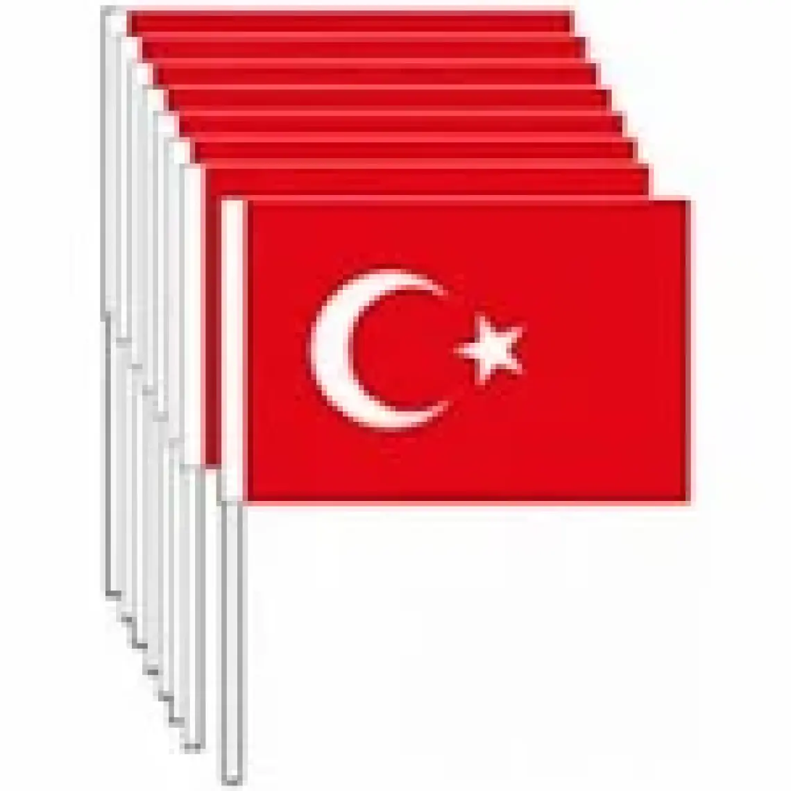 Çıtı Pıtı Store Sopalı Türk Bayrağı 100'lü