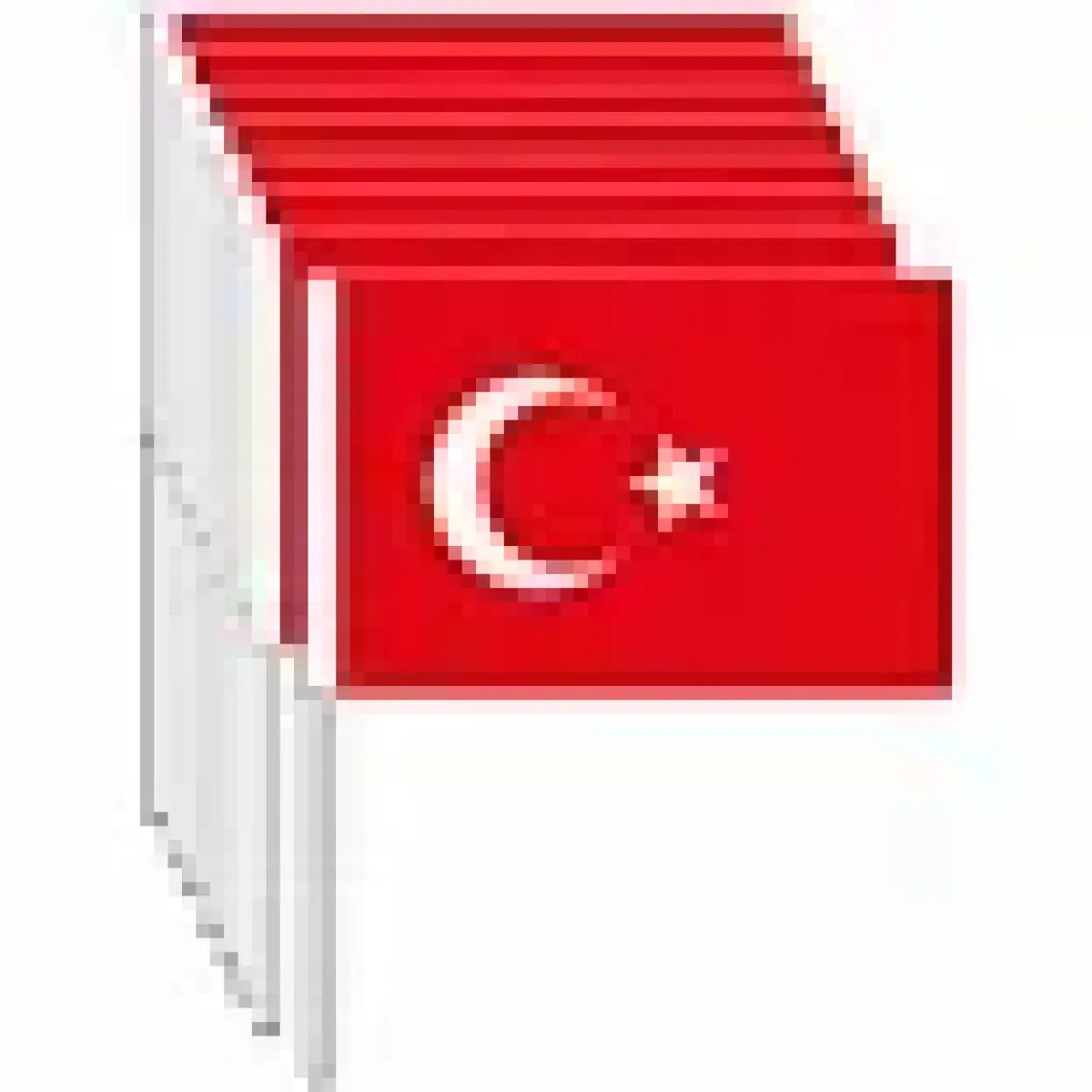 Çıtı Pıtı Store Sopalı Türk Bayrağı 100'lü