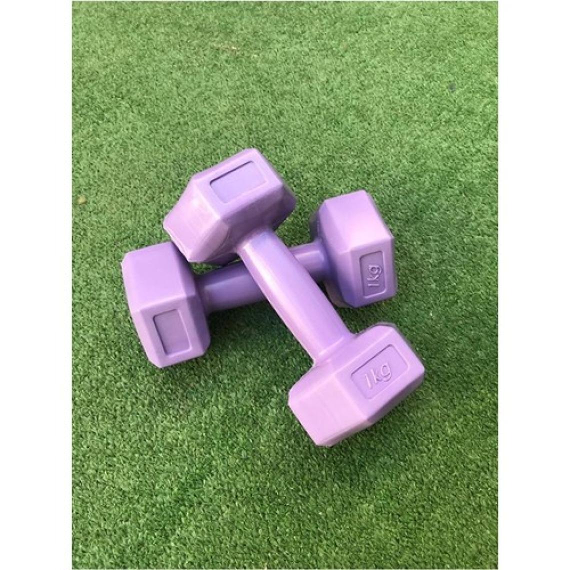 Leyaton 1 kg x 2 Adet Dambıl Vinyl Kaplı Dumbell Ağırlık - Mor Renk
