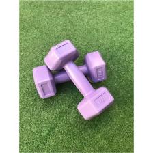 Leyaton 1 kg x 2 Adet Dambıl Vinyl Kaplı Dumbell Ağırlık - Mor Renk