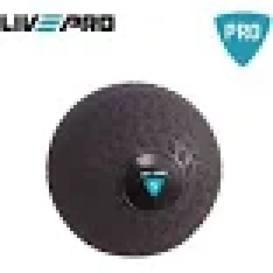 Livepro LP8105 12 Kg Zıplamayan Sağlık Topu-Slam Ball